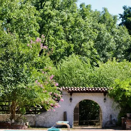 La Dama Con L'ermellino San Giovanni in Croce
